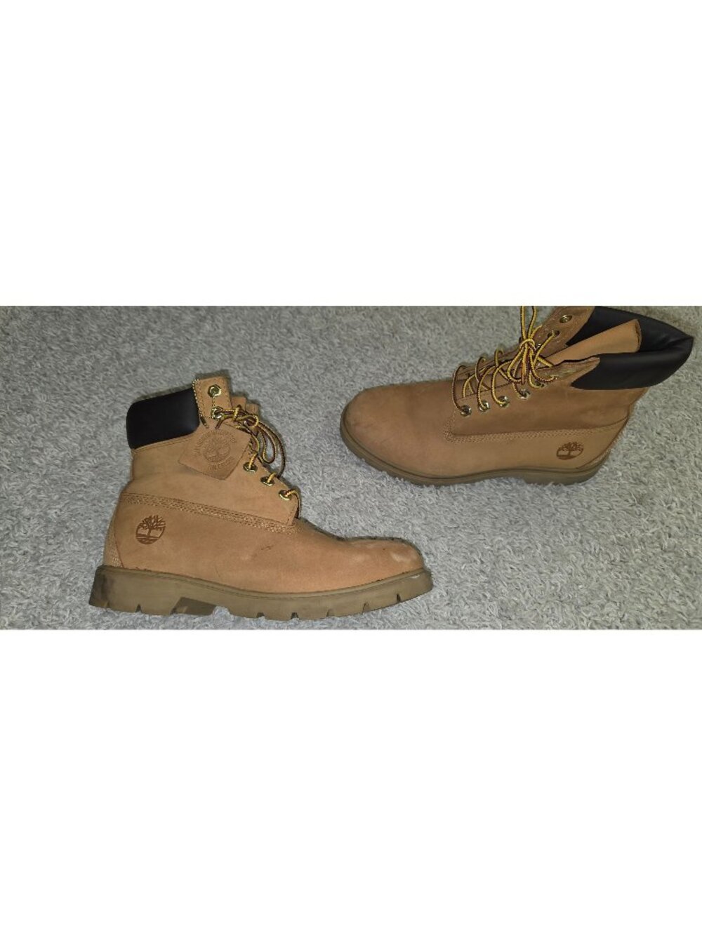 Timberland 6 Premium Waterproof Boots size 7